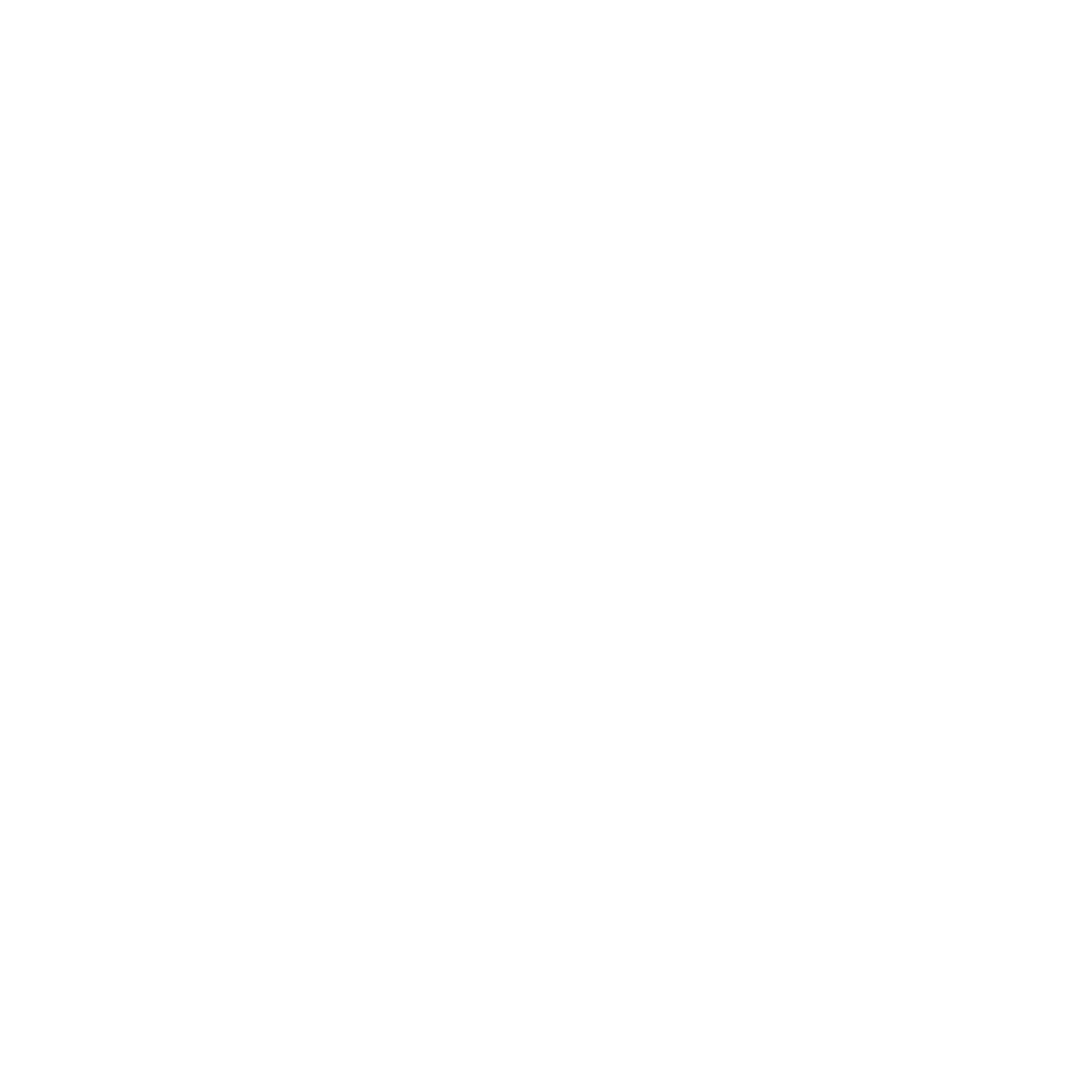 HighFlight_Logo_White